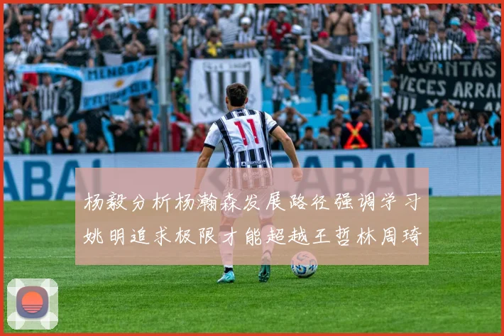 杨毅分析杨瀚森发展路径强调学习姚明追求极限才能超越王哲林周琦状态