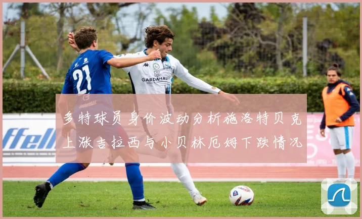 多特球员身价波动分析施洛特贝克上涨吉拉西与小贝林厄姆下跌情况解读