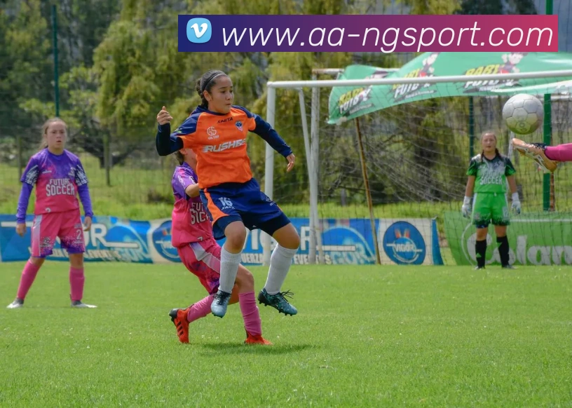 南宫体育平台生态图